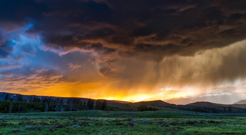Yellowstone National Park, USA